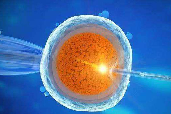 多囊卵巢患者做试管选择拮抗剂方案移植囊胚一次成功率高吗