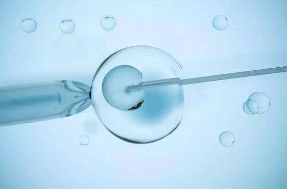 第三代试管婴儿三代试管筛查囊胚谨慎移植探讨