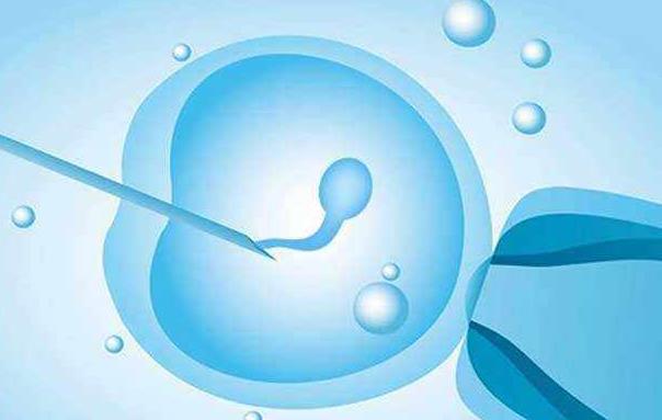 女性卵巢早衰能否做三代试管，附提高卵巢早衰试管妊娠率的方法