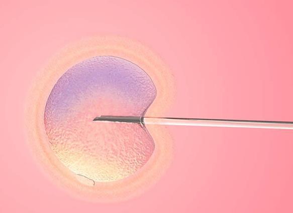 如何才能提高试管婴儿卵泡的质量，4个技巧推荐