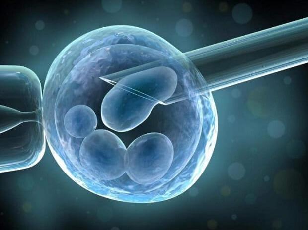 培养第6天的囊胚等级只有4bb是不是继续发育的潜力很差啊