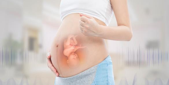 试管婴儿囊胚移植第五天能测出来吗