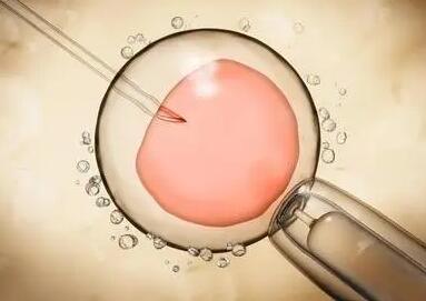 试管移植鲜胚着床时间揭秘，瞧瞧最晚几天成功测出怀孕